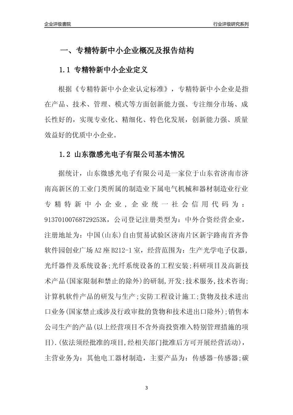 [专精特新]山东微感光电子有限公司行业竞争力评级分析报告(2023版)_第3页