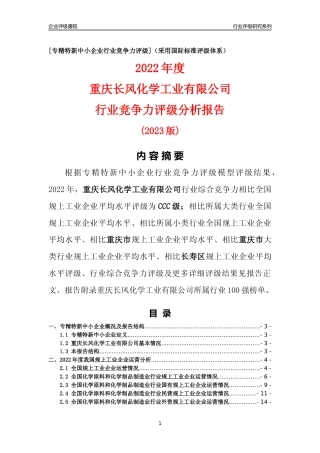 [专精特新]重庆长风化学工业有限公司行业竞争力评级分析报告(2023版)