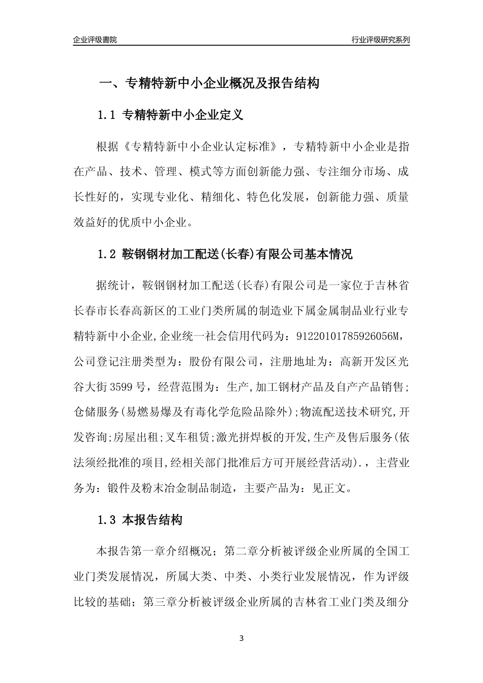 [专精特新]鞍钢钢材加工配送(长春)有限公司行业竞争力评级分析报告(2023版)_第3页
