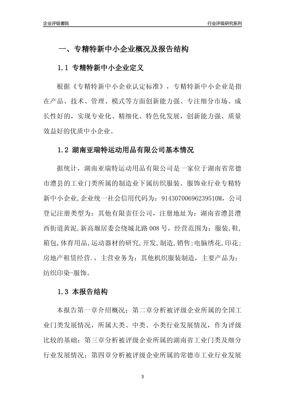 [专精特新]湖南亚瑞特运动用品有限公司行业竞争力评级分析报告(2023版)_第3页