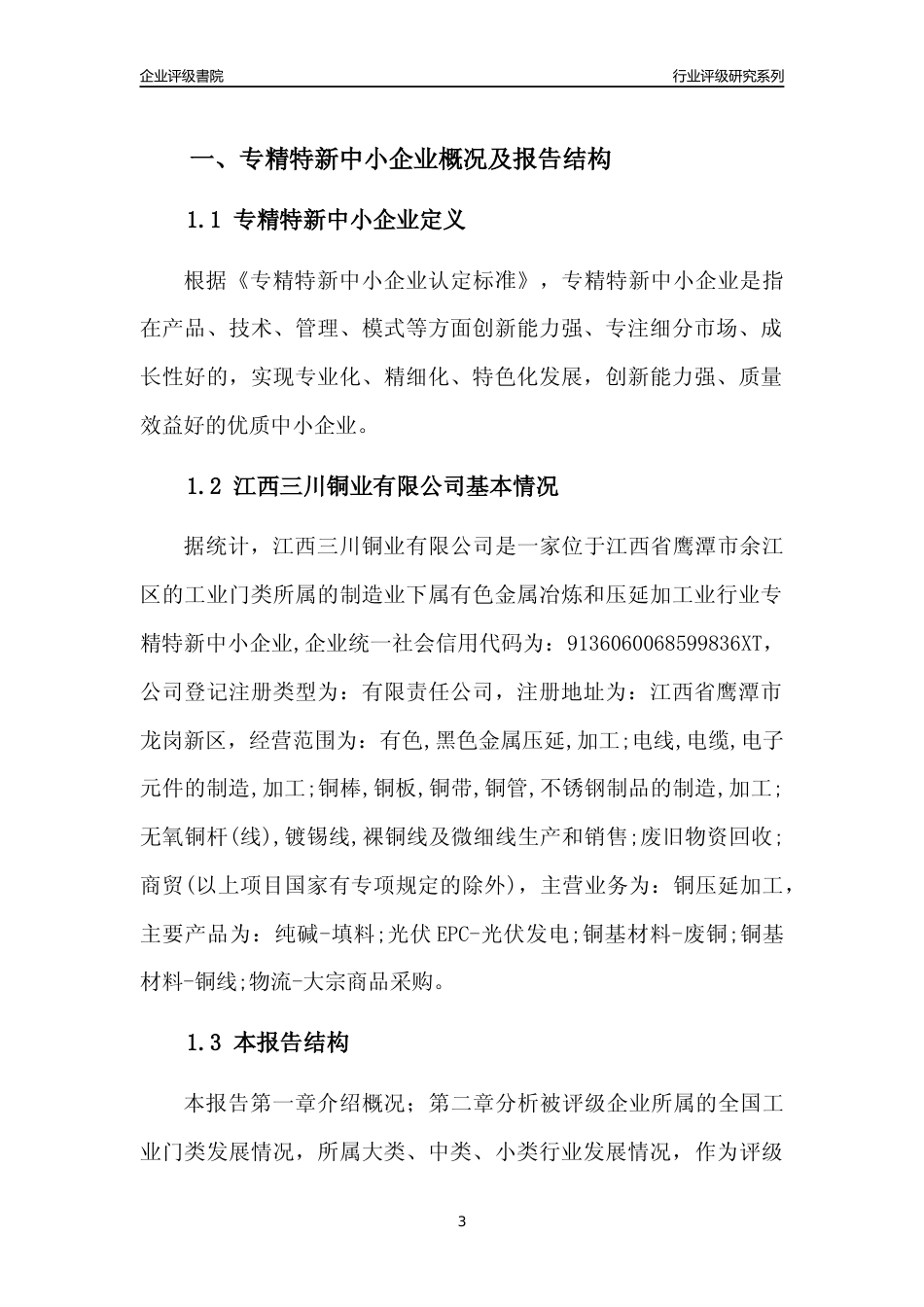 [专精特新]江西三川铜业有限公司行业竞争力评级分析报告(2023版)_第3页