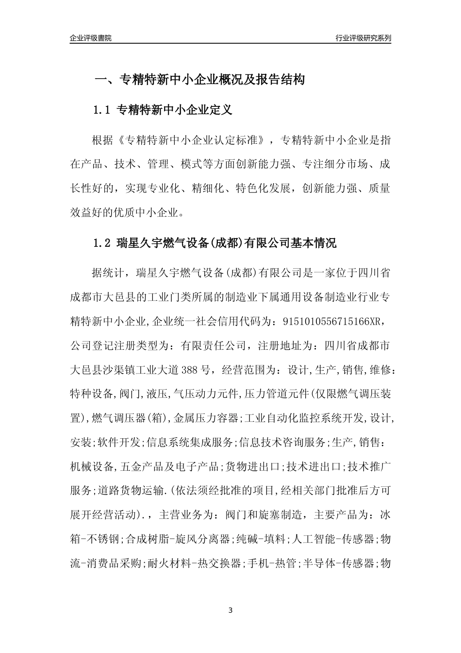 [专精特新]瑞星久宇燃气设备(成都)有限公司行业竞争力评级分析报告(2023版)_第3页