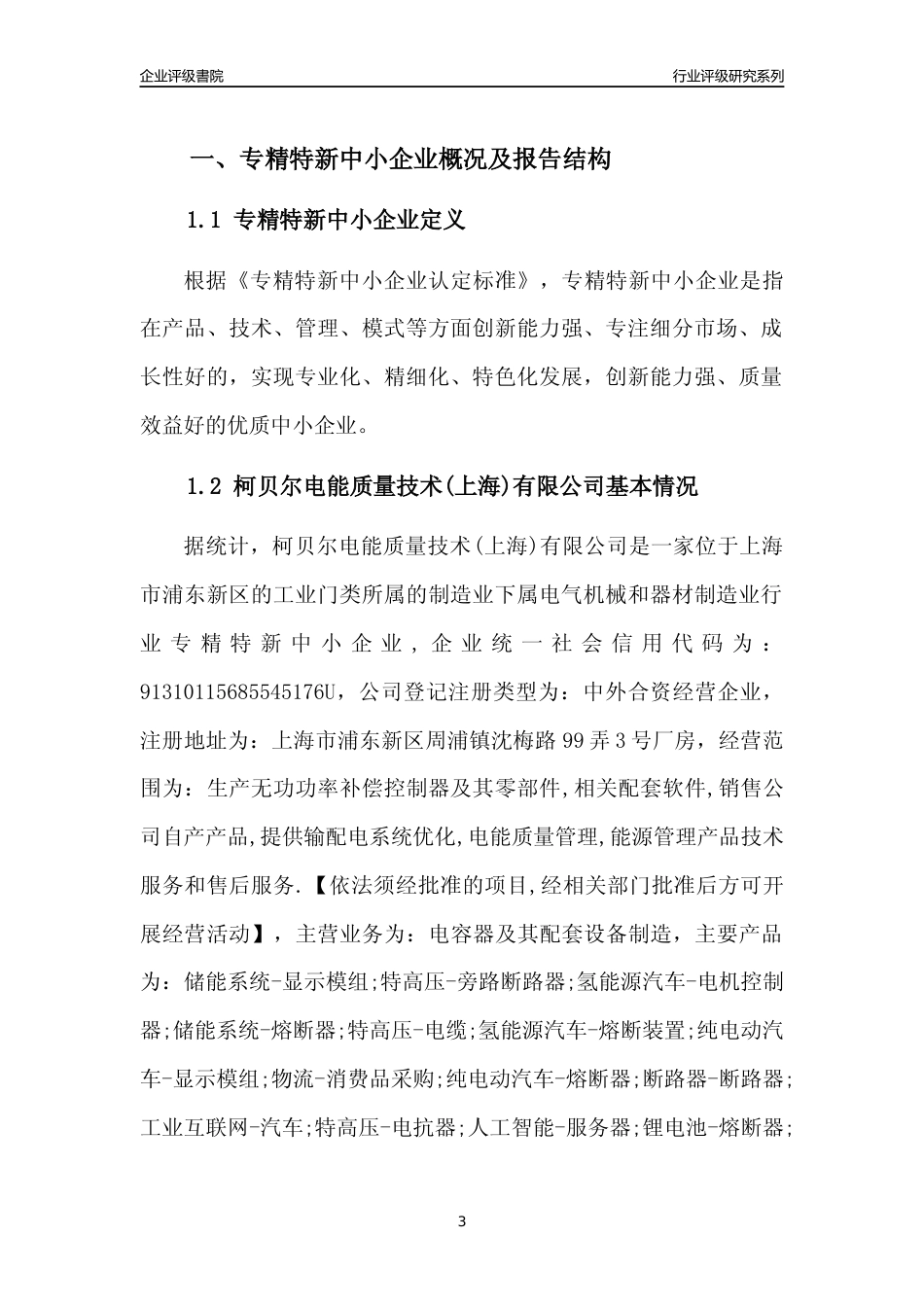 [专精特新]柯贝尔电能质量技术(上海)有限公司行业竞争力评级分析报告(2023版)_第3页