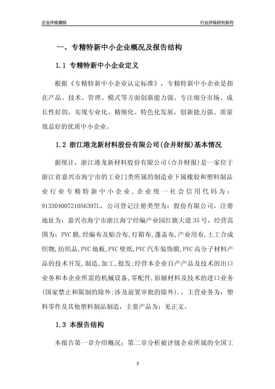 [专精特新]浙江港龙新材料股份有限公司(合并财报)行业竞争力评级分析报告(2023版)_第3页