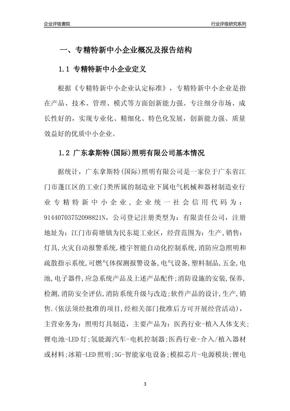 [专精特新]广东拿斯特(国际)照明有限公司行业竞争力评级分析报告(2023版)_第3页