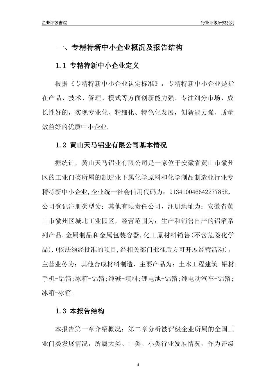 [专精特新]黄山天马铝业有限公司行业竞争力评级分析报告(2023版)_第3页