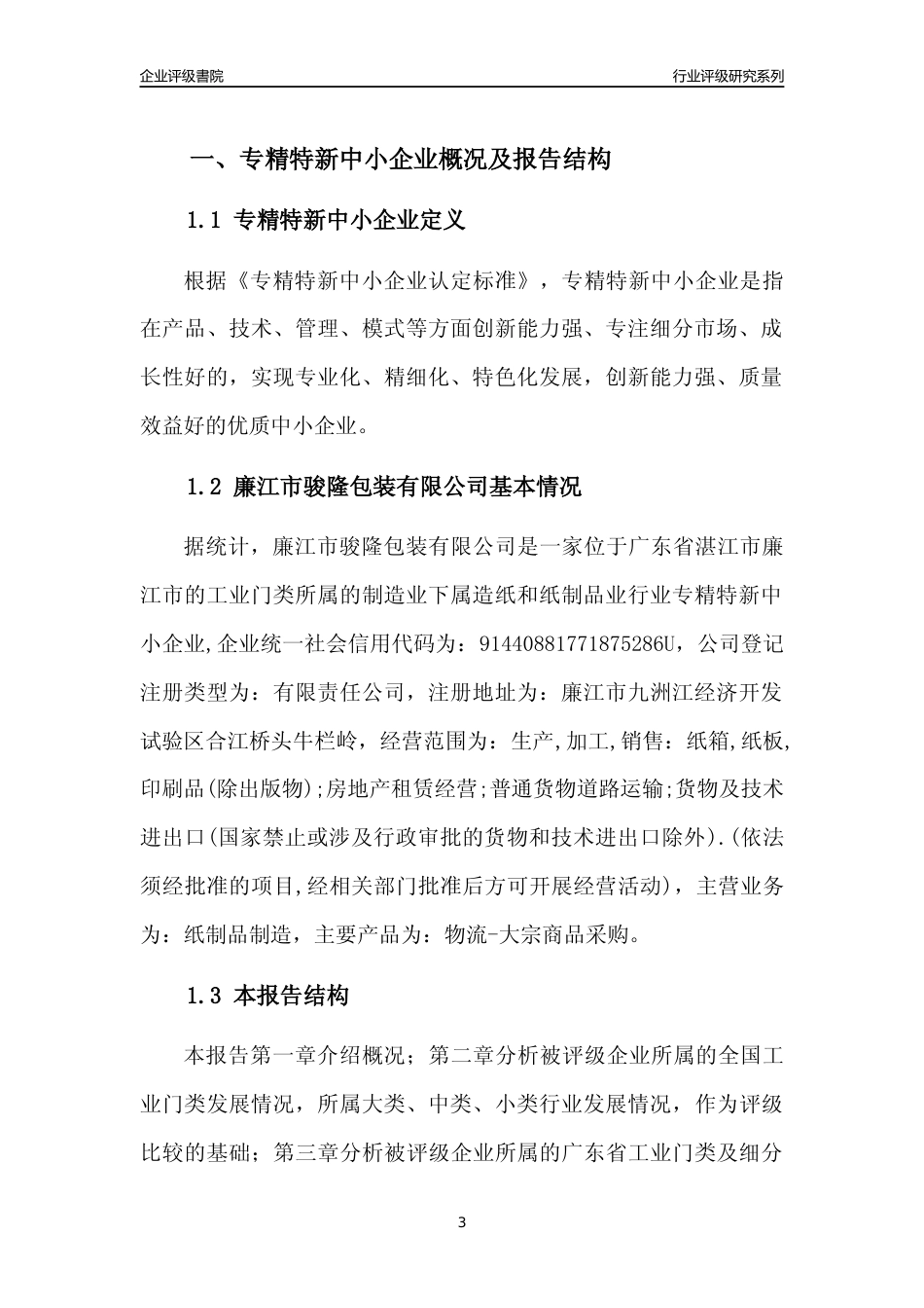 [专精特新]廉江市骏隆包装有限公司行业竞争力评级分析报告(2023版)_第3页
