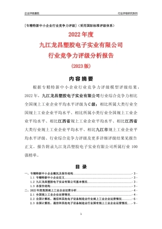 [专精特新]九江龙昌塑胶电子实业有限公司行业竞争力评级分析报告(2023版)