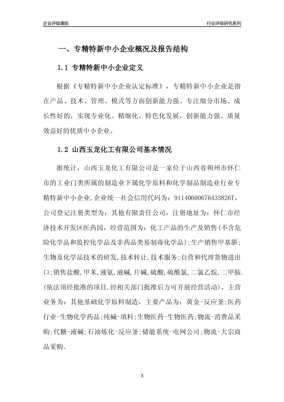 [专精特新]山西玉龙化工有限公司行业竞争力评级分析报告(2023版)_第3页