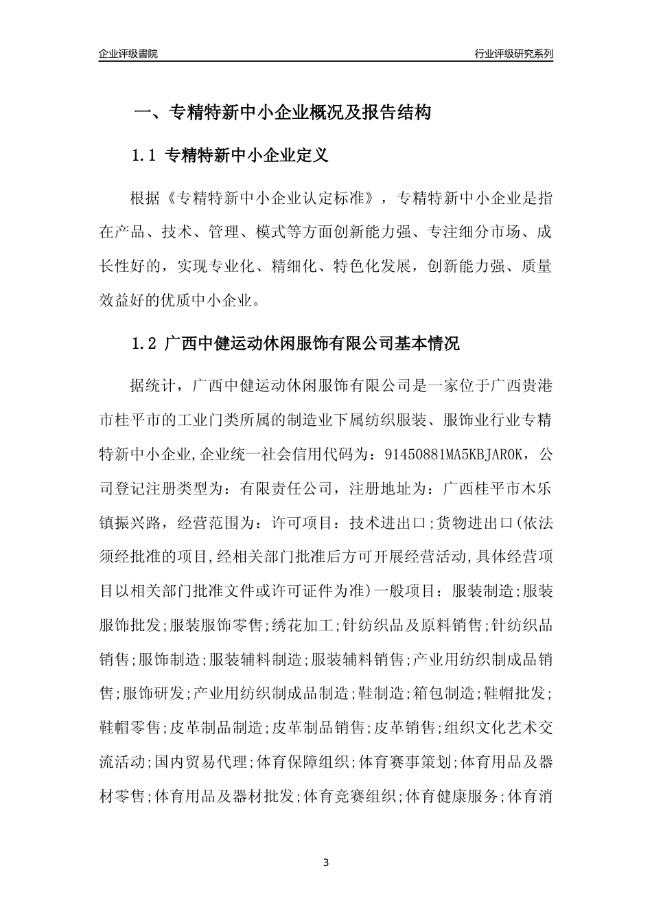 [专精特新]广西中健运动休闲服饰有限公司行业竞争力评级分析报告(2023版)_第3页