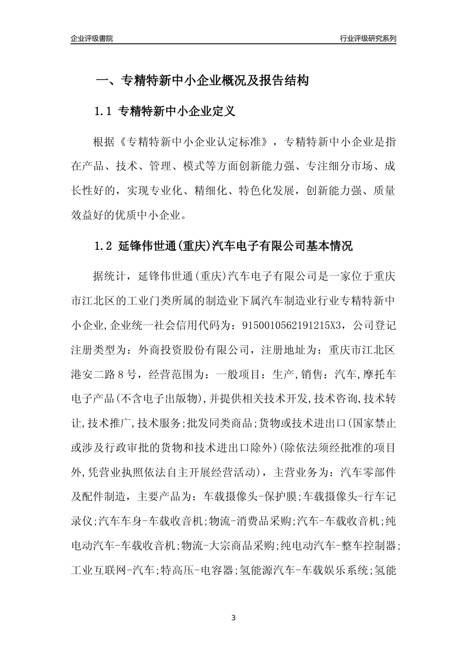 [专精特新]延锋伟世通(重庆)汽车电子有限公司行业竞争力评级分析报告(2023版)_第3页
