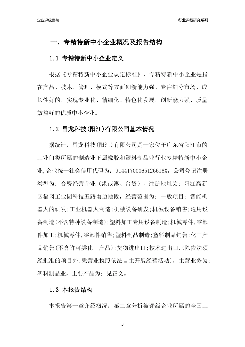 [专精特新]昌龙科技(阳江)有限公司行业竞争力评级分析报告(2023版)_第3页