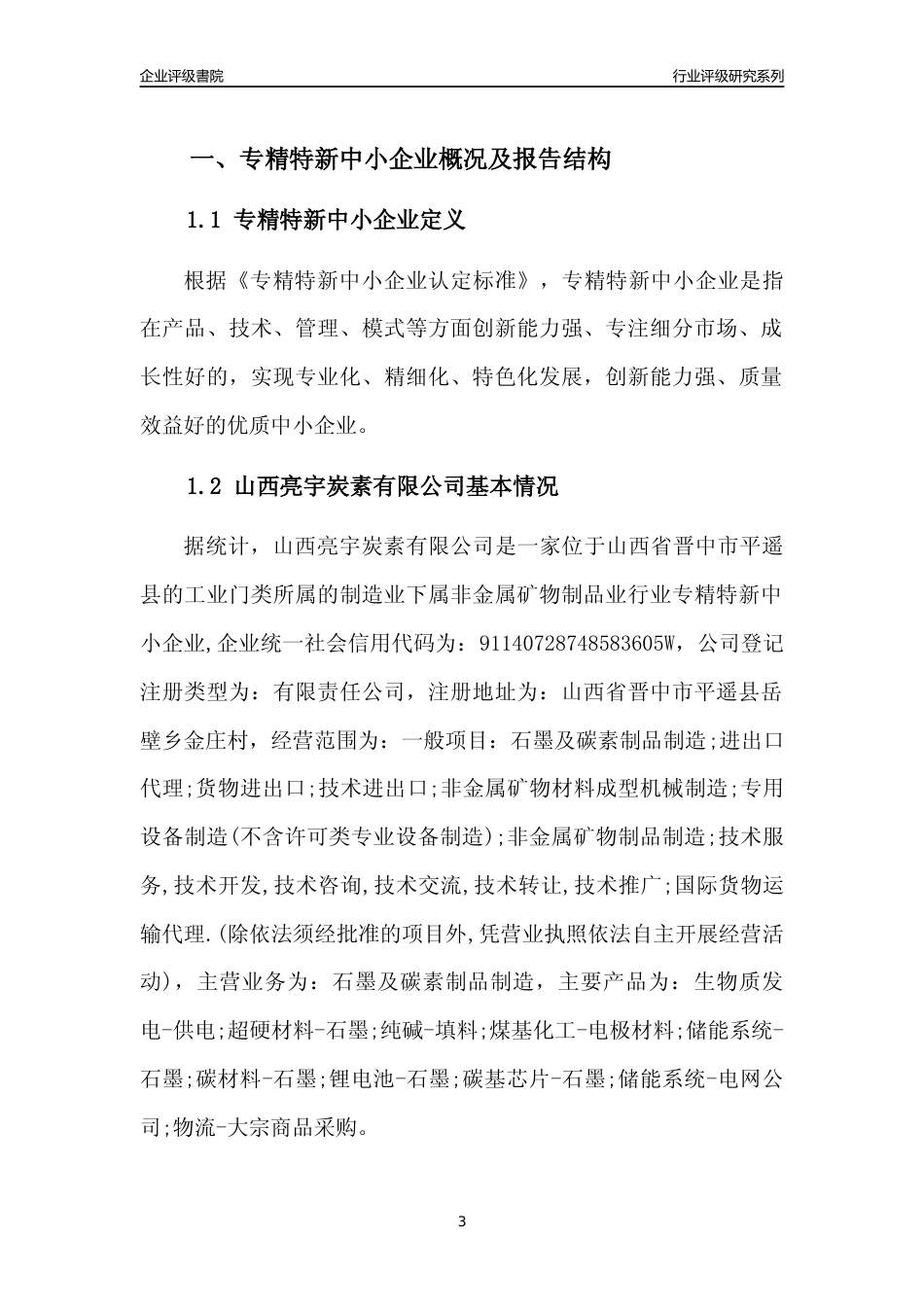 [专精特新]山西亮宇炭素有限公司行业竞争力评级分析报告(2023版)_第3页