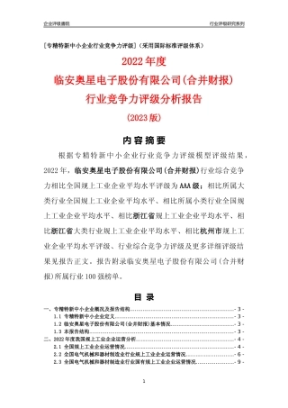 [专精特新]临安奥星电子股份有限公司(合并财报)行业竞争力评级分析报告(2023版)