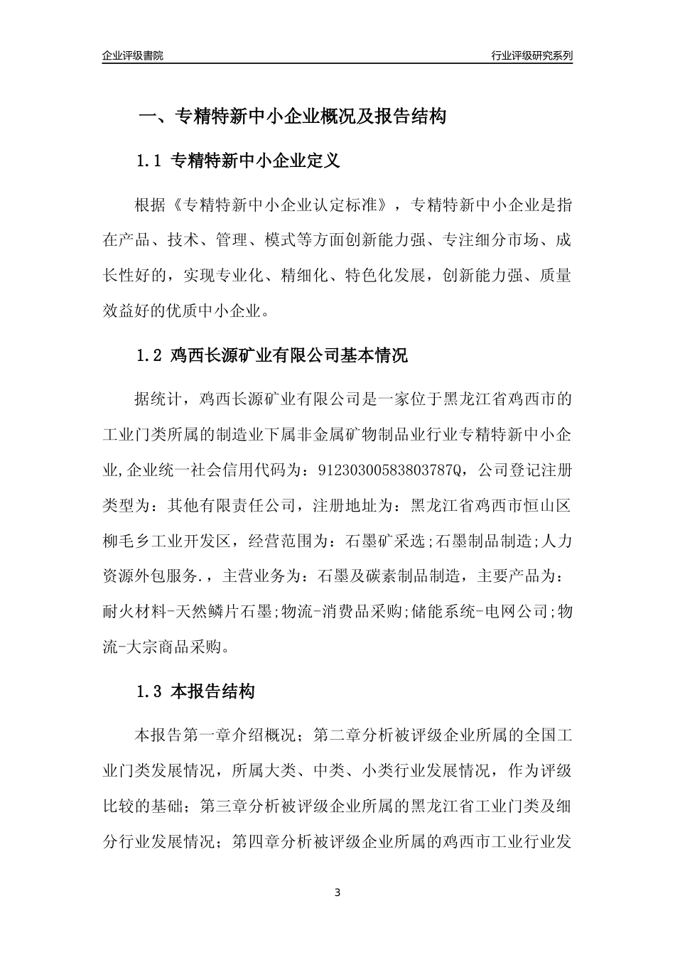 [专精特新]鸡西长源矿业有限公司行业竞争力评级分析报告(2023版)_第3页