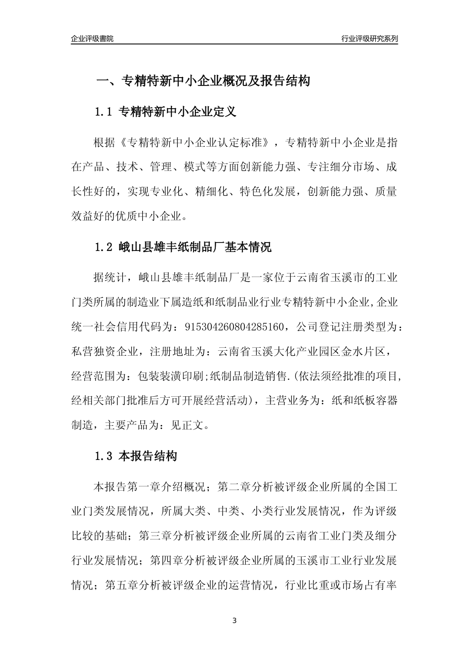 [专精特新]峨山县雄丰纸制品厂行业竞争力评级分析报告(2023版)_第3页