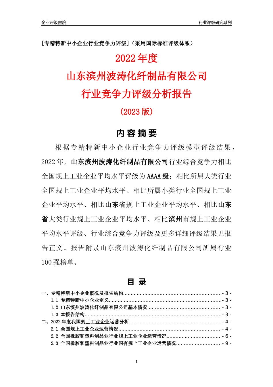 [专精特新]山东滨州波涛化纤制品有限公司行业竞争力评级分析报告(2023版)_第1页