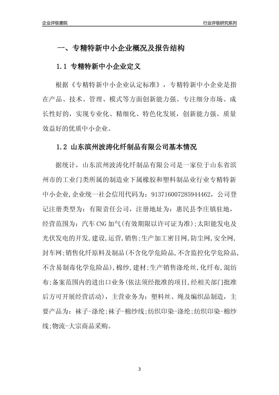 [专精特新]山东滨州波涛化纤制品有限公司行业竞争力评级分析报告(2023版)_第3页