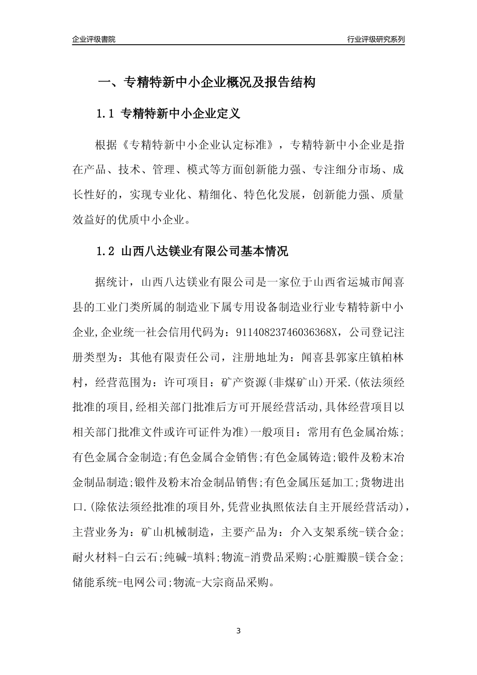 [专精特新]山西八达镁业有限公司行业竞争力评级分析报告(2023版)_第3页