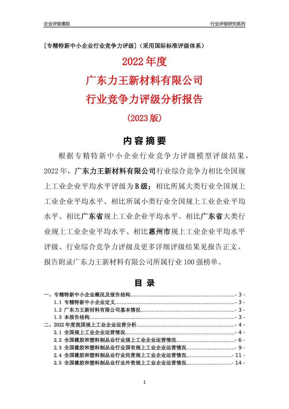 [专精特新]广东力王新材料有限公司行业竞争力评级分析报告(2023版)_第1页