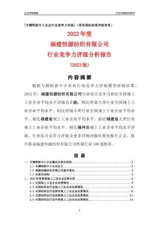 [专精特新]福建恒源纺织有限公司行业竞争力评级分析报告(2023版)