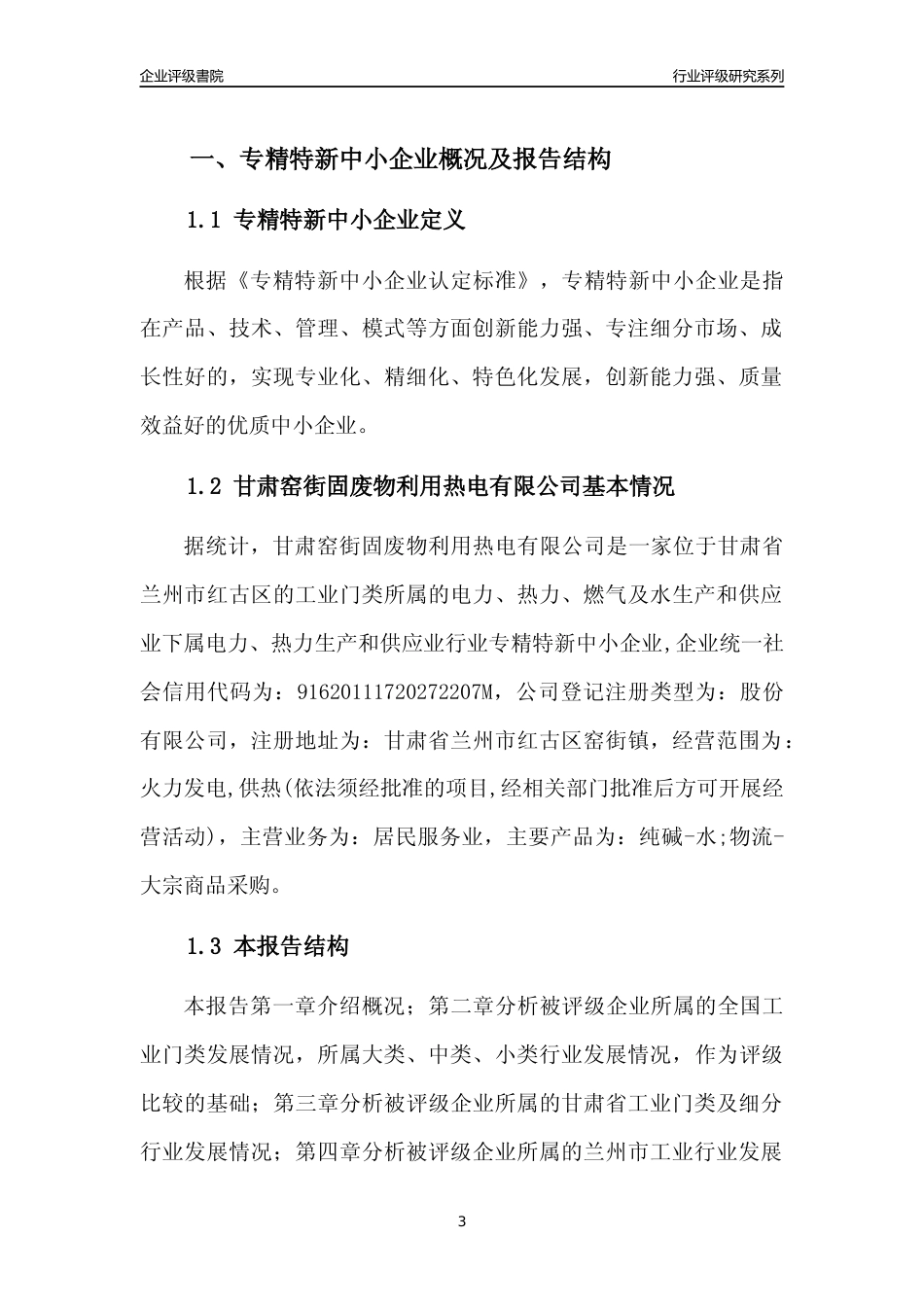 [专精特新]甘肃窑街固废物利用热电有限公司行业竞争力评级分析报告(2023版)_第3页