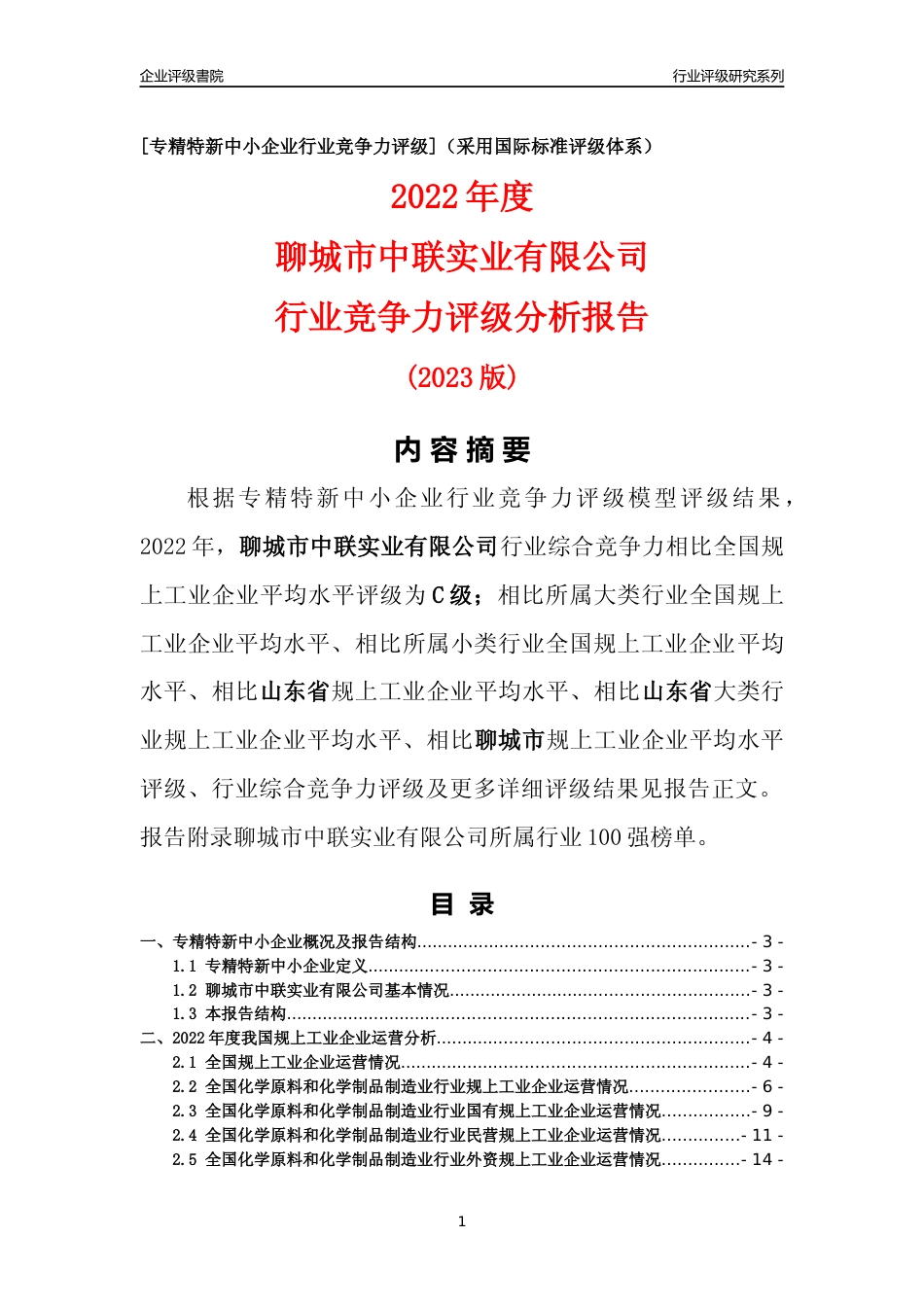[专精特新]聊城市中联实业有限公司行业竞争力评级分析报告(2023版)_第1页
