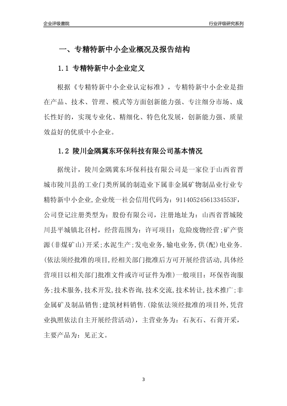 [专精特新]陵川金隅冀东环保科技有限公司行业竞争力评级分析报告(2023版)_第3页