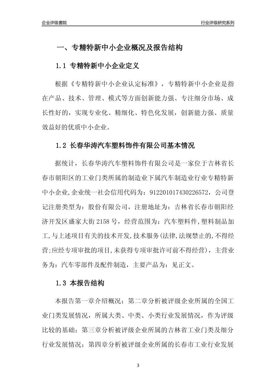 [专精特新]长春华涛汽车塑料饰件有限公司行业竞争力评级分析报告(2023版)_第3页