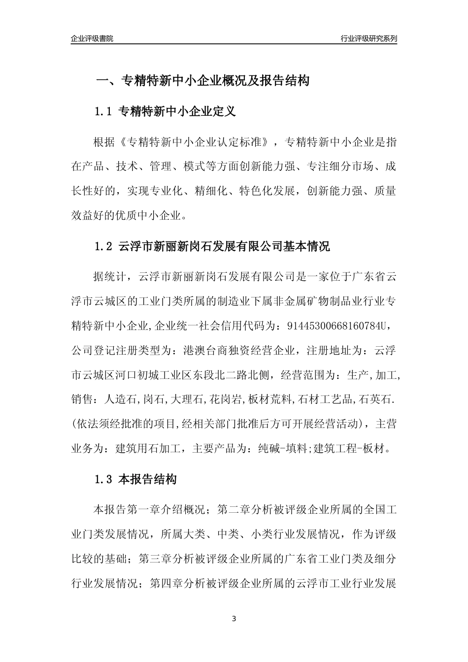 [专精特新]云浮市新丽新岗石发展有限公司行业竞争力评级分析报告(2023版)_第3页