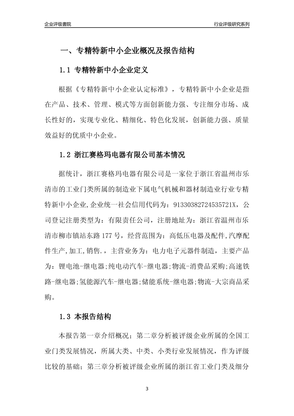 [专精特新]浙江赛格玛电器有限公司行业竞争力评级分析报告(2023版)_第3页