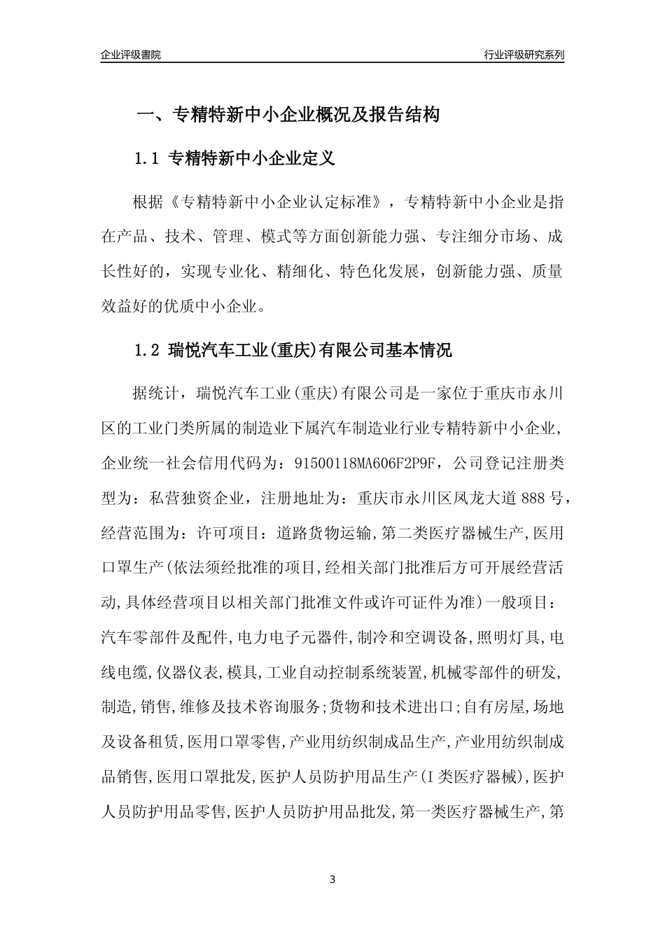 [专精特新]瑞悦汽车工业(重庆)有限公司行业竞争力评级分析报告(2023版)_第3页