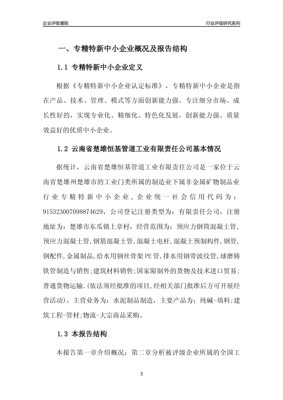 [专精特新]云南省楚雄恒基管道工业有限责任公司行业竞争力评级分析报告(2023版)_第3页