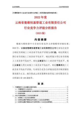 [专精特新]云南省楚雄恒基管道工业有限责任公司行业竞争力评级分析报告(2023版)
