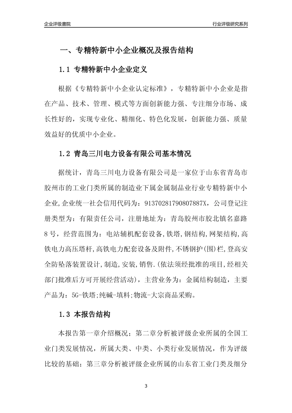 [专精特新]青岛三川电力设备有限公司行业竞争力评级分析报告(2023版)_第3页