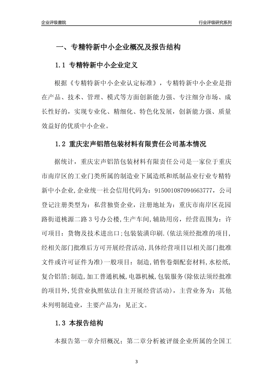 [专精特新]重庆宏声铝箔包装材料有限责任公司行业竞争力评级分析报告(2023版)_第3页
