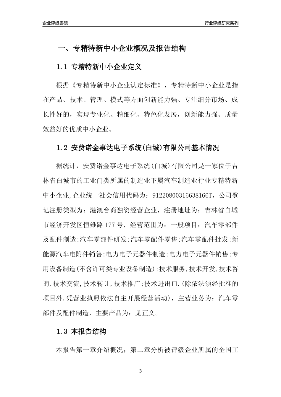 [专精特新]安费诺金事达电子系统(白城)有限公司行业竞争力评级分析报告(2023版)_第3页