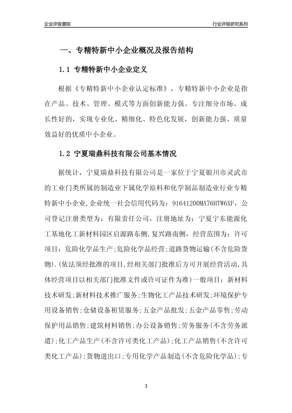[专精特新]宁夏瑞鼎科技有限公司行业竞争力评级分析报告(2023版)_第3页