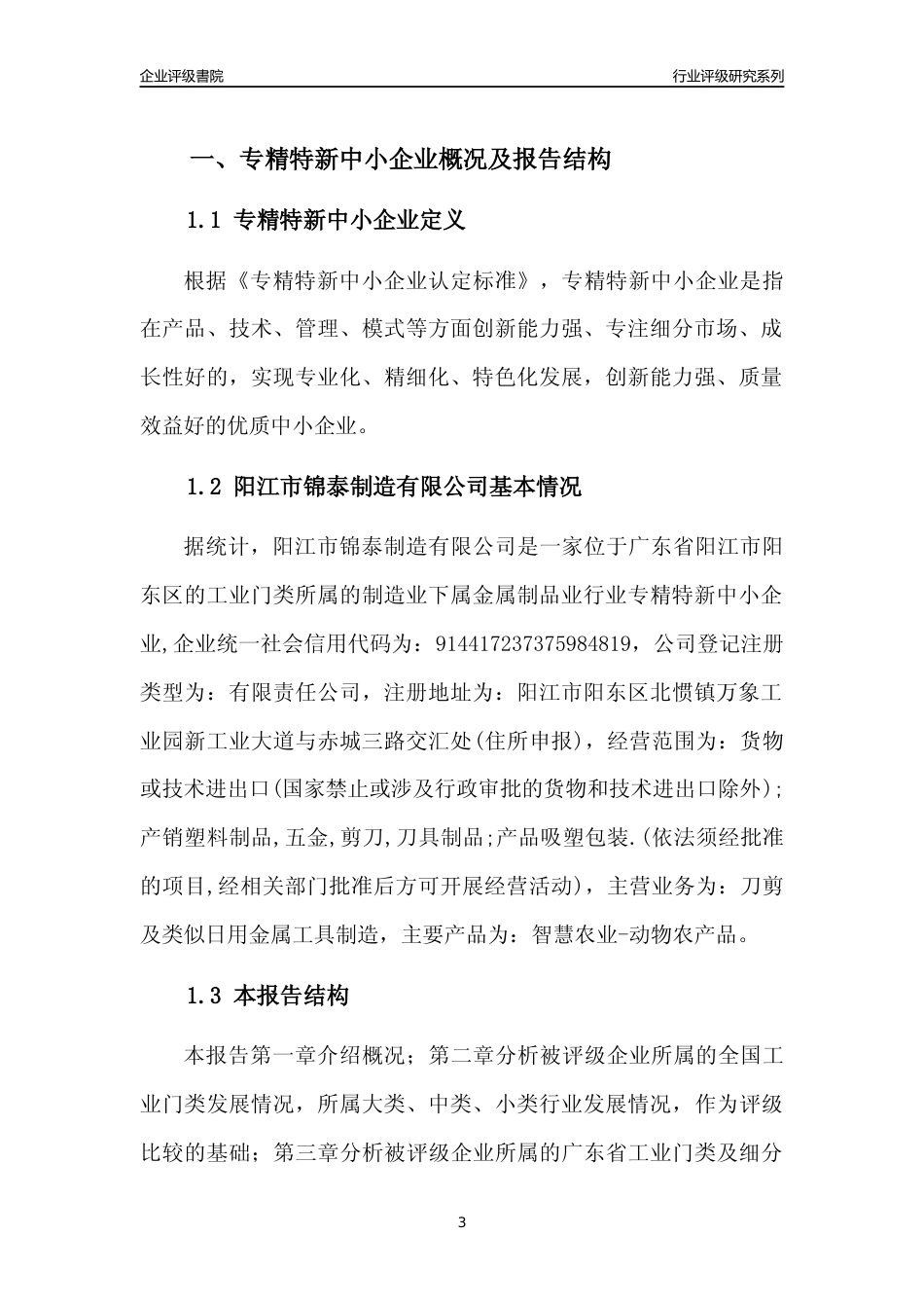 [专精特新]阳江市锦泰制造有限公司行业竞争力评级分析报告(2023版)_第3页