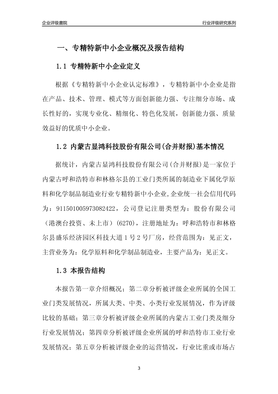 [专精特新]内蒙古显鸿科技股份有限公司(合并财报)行业竞争力评级分析报告(2023版)_第3页