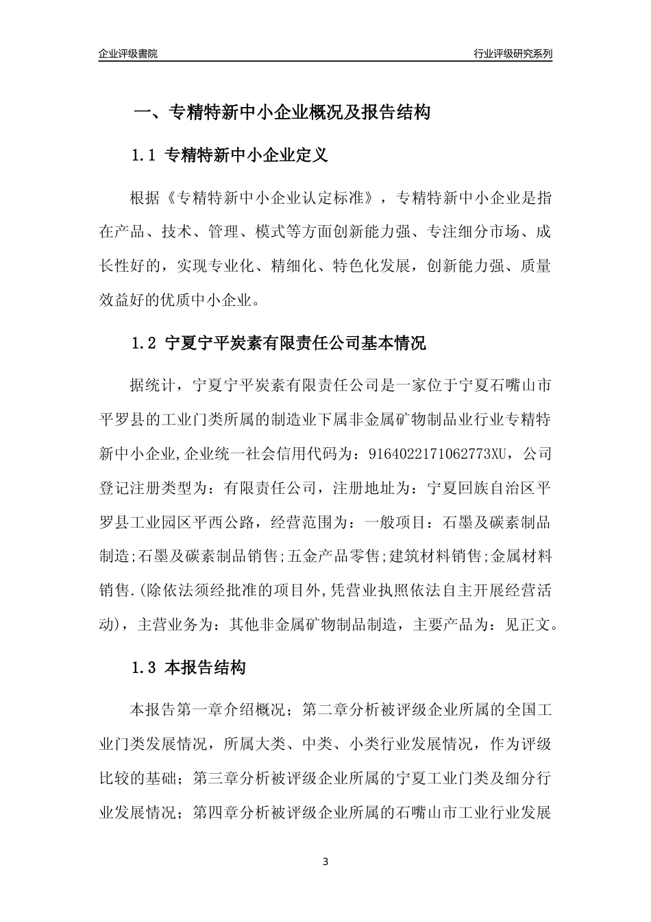 [专精特新]宁夏宁平炭素有限责任公司行业竞争力评级分析报告(2023版)_第3页