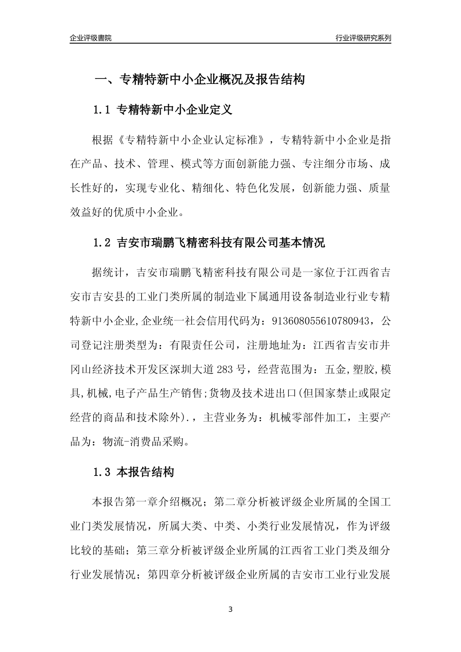 [专精特新]吉安市瑞鹏飞精密科技有限公司行业竞争力评级分析报告(2023版)_第3页