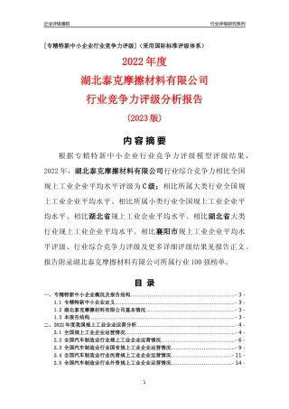 [专精特新]湖北泰克摩擦材料有限公司行业竞争力评级分析报告(2023版)