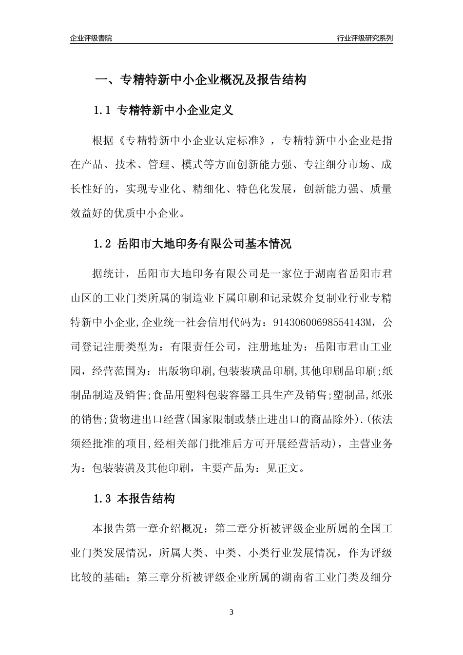 [专精特新]岳阳市大地印务有限公司行业竞争力评级分析报告(2023版)_第3页