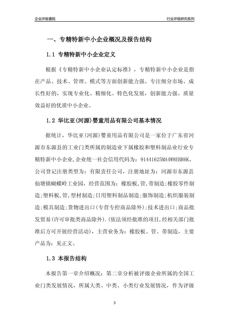 [专精特新]华比亚(河源)婴童用品有限公司行业竞争力评级分析报告(2023版)_第3页