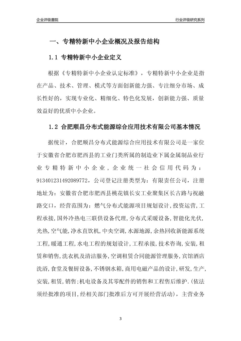 [专精特新]合肥顺昌分布式能源综合应用技术有限公司行业竞争力评级分析报告(2023版)_第3页