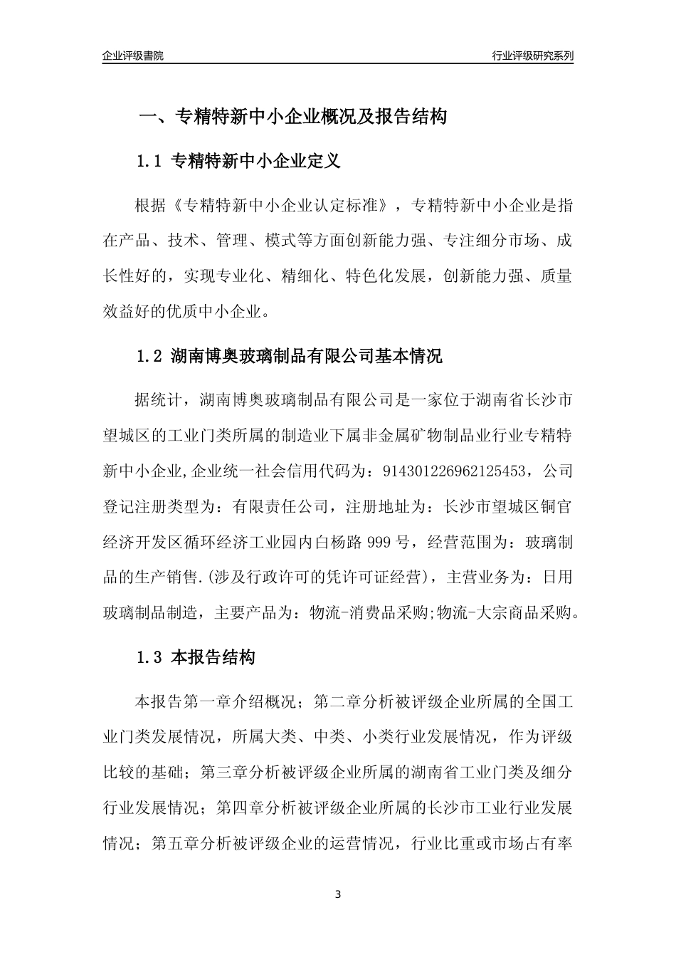 [专精特新]湖南博奥玻璃制品有限公司行业竞争力评级分析报告(2023版)_第3页