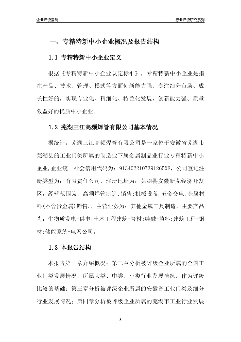 [专精特新]芜湖三江高频焊管有限公司行业竞争力评级分析报告(2023版)_第3页