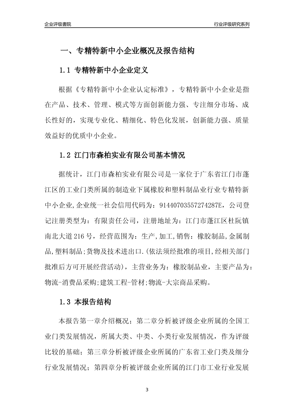 [专精特新]江门市森柏实业有限公司行业竞争力评级分析报告(2023版)_第3页