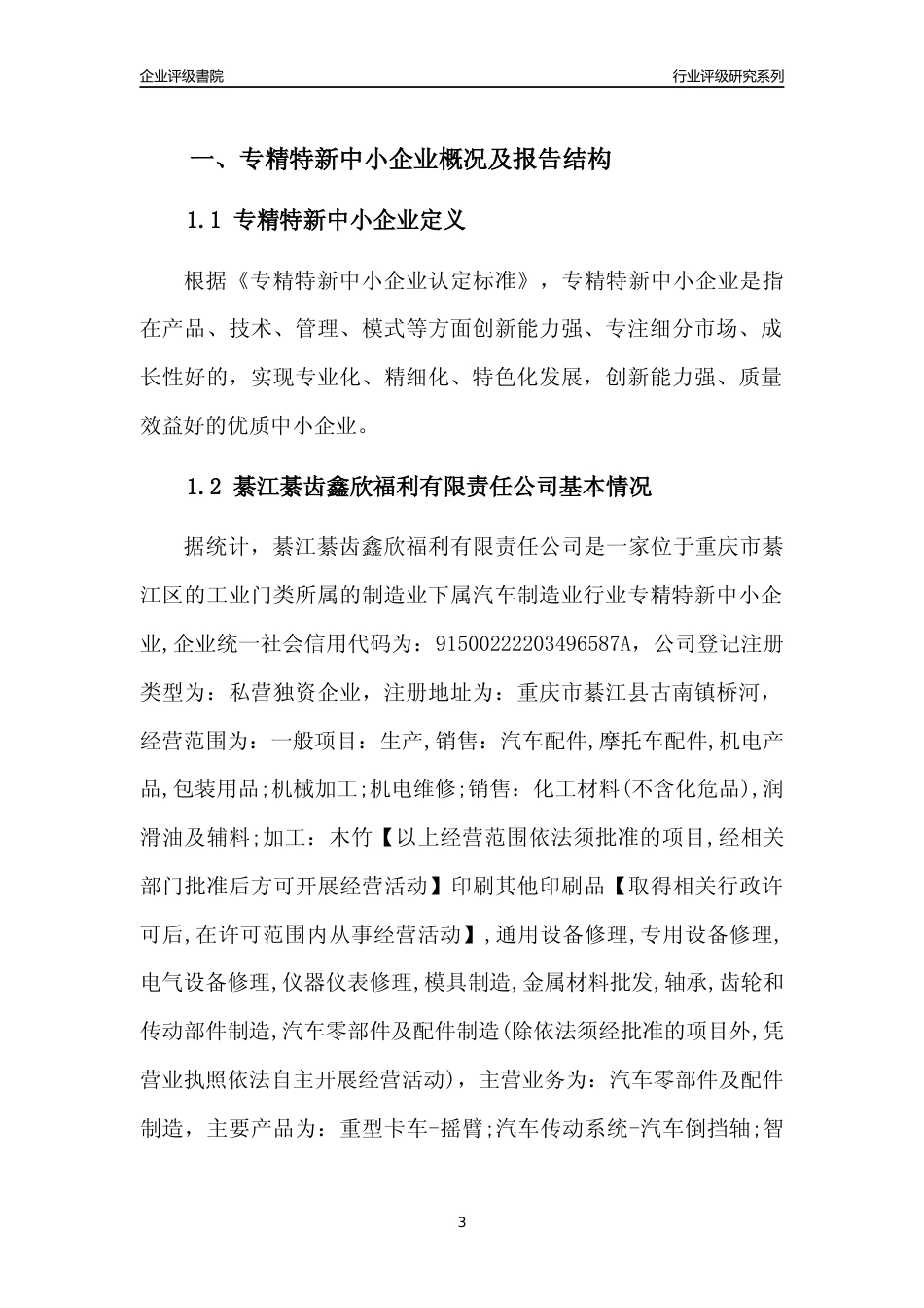 [专精特新]綦江綦齿鑫欣福利有限责任公司行业竞争力评级分析报告(2023版)_第3页